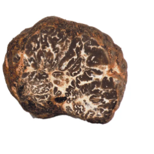 Tartufo Bianchetto