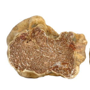 Tartufo Bianco Pregiato