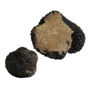 Tartufo Nero Estivo