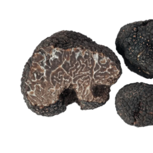 Tartufo Nero Uncinato